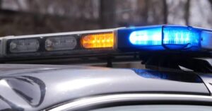 Pedestrian Struck by Inbound Metra Train Near Palatine Station, Police Report